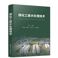 計(jì)算機(jī)軟件技術(shù)開發(fā) 從概念到實(shí)踐的全面解析