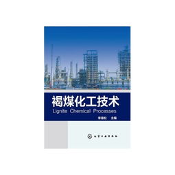 褐煤化工技術(shù)與計(jì)算機(jī)軟件技術(shù)開(kāi)發(fā)的融合創(chuàng)新